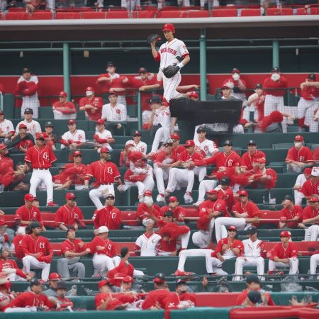 Report: Shohei Ohtani's former interpreter to plead guilty in fraud case