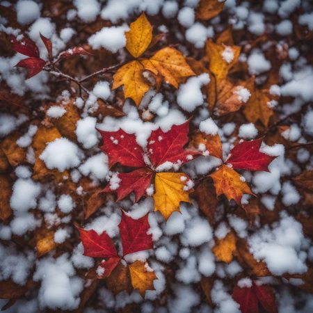 Snowstorm Leaves 400,000 Without Power in Maine, New Hampshire, and Vermont