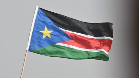 south sudan flag