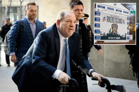 weinstein rikers comp