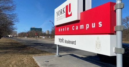 york university 1 2