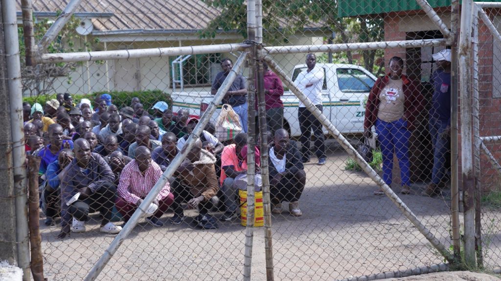 zimbabwe prisoners