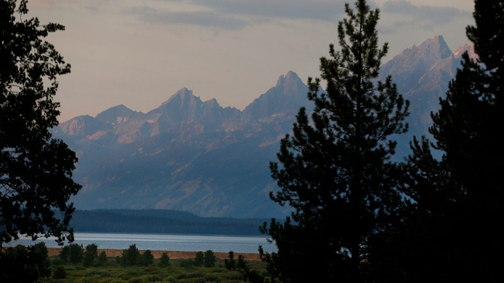 09472e08 Grand Teton Grizzly Attack