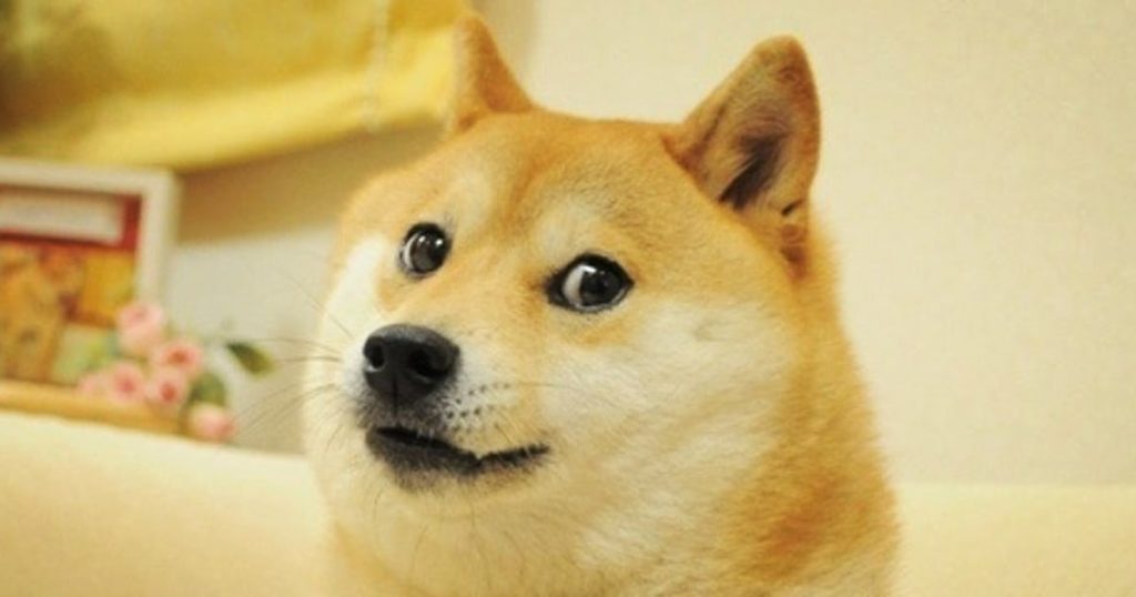 210602 doge meme nft mb 1715 8afb7e