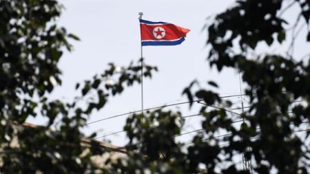 211104220512 north korea flag file