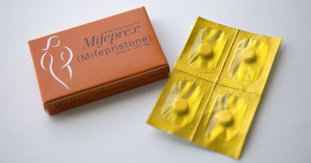 230313 mifepristone se 528p 481ef8