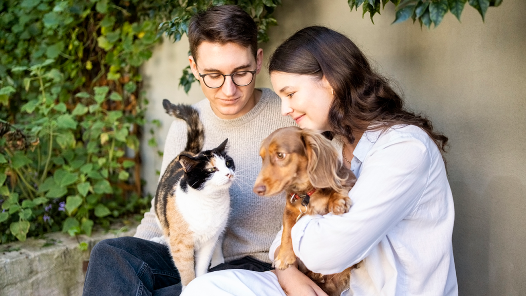 Amazon pet day event iStock 1598193080