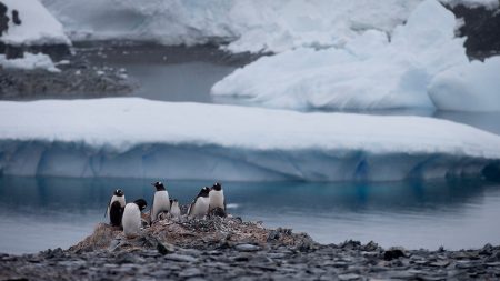 Chile Antarctica