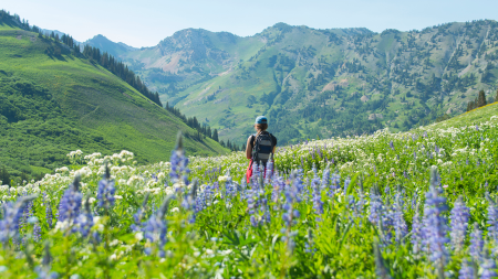 Commerce 5 ski towns for summer iStock 1050426602