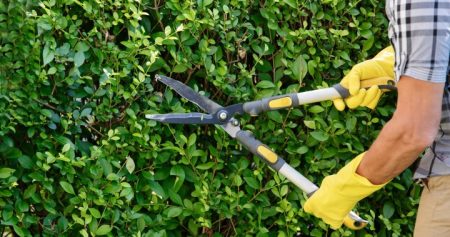 GettyImages trimming