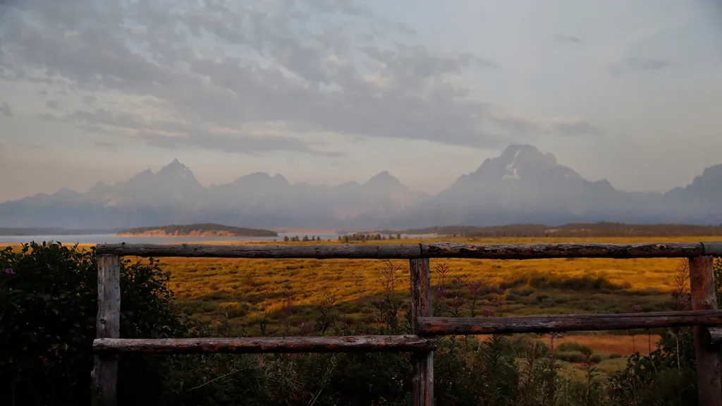 Grand Teton Grizzly Attack