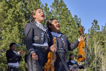 Icicle Mariachi Noroeste