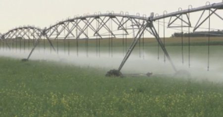 Irrigation pic