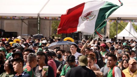 Mexico soccer fans