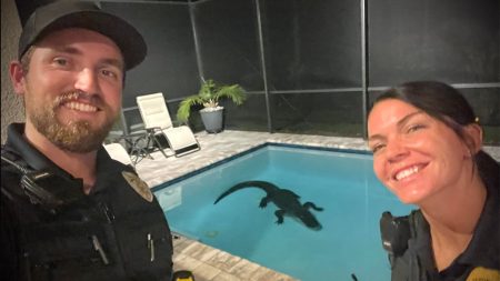 NSB police gator