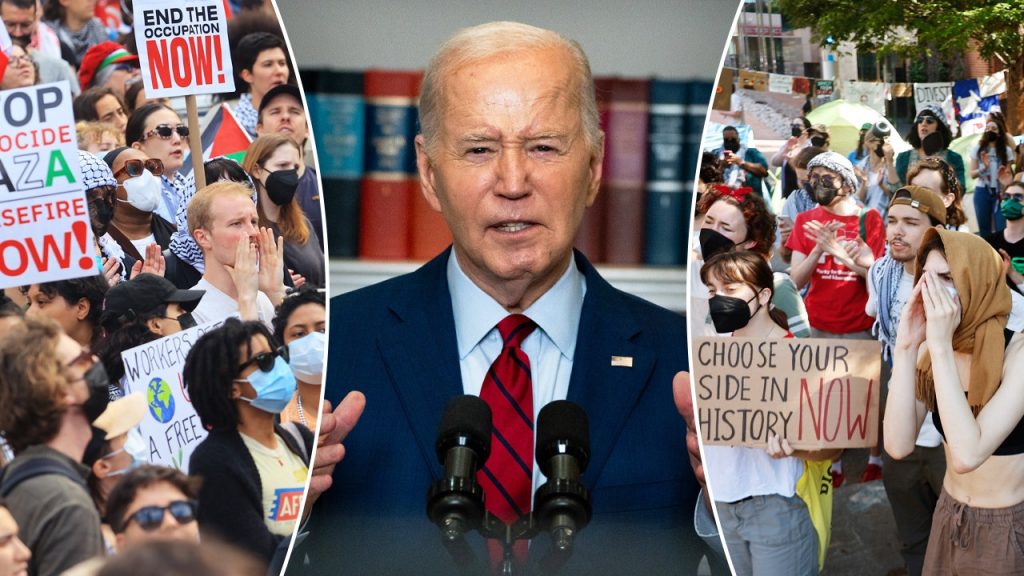 President Biden anti Israel protests