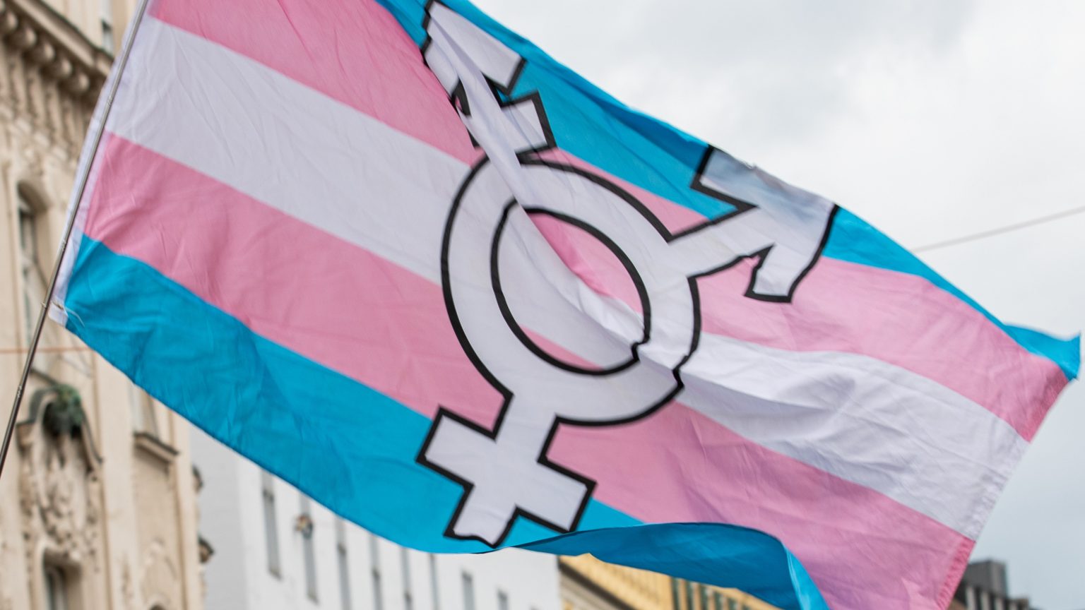 Trans flag thumb