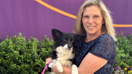 Westminster Dog Show Mixed Breed Prize