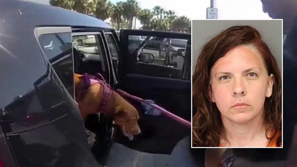 Woman arrested after leaving dog in car