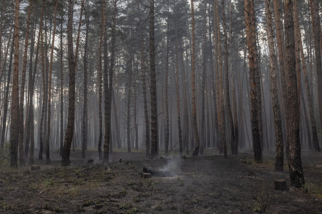 fighting kharkiv region