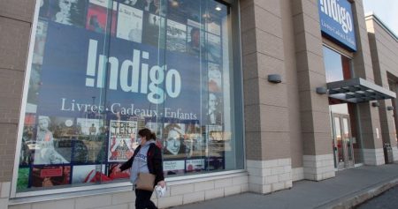 indigo privatization sale