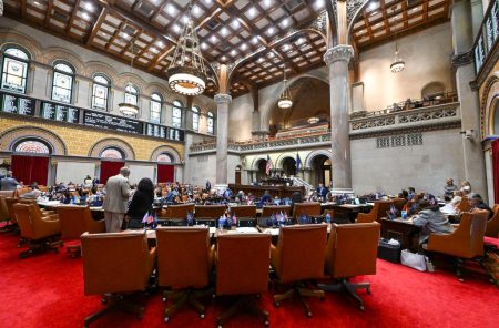 new york state assembly chamber 12314572