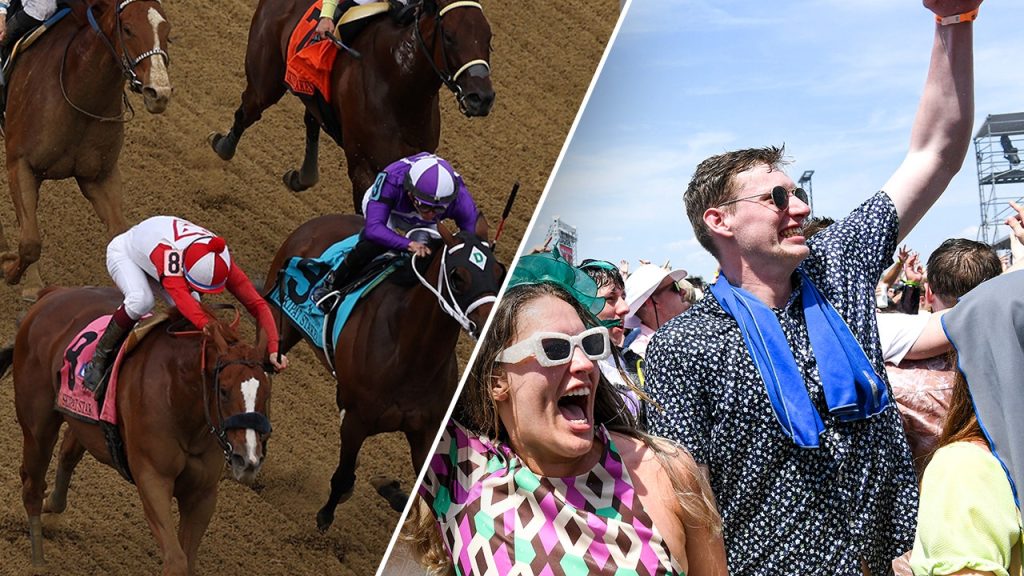 preakness stakes horses crowd