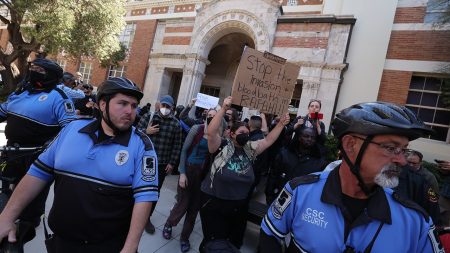 pro palestinian protesters ucla