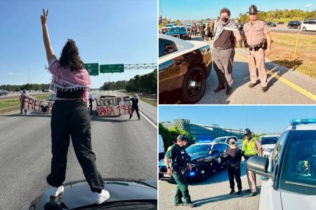 queers for palestine disney protest arrest