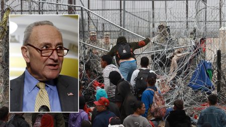 schumer border senate