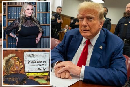 trump trial stormy daniels witness comp