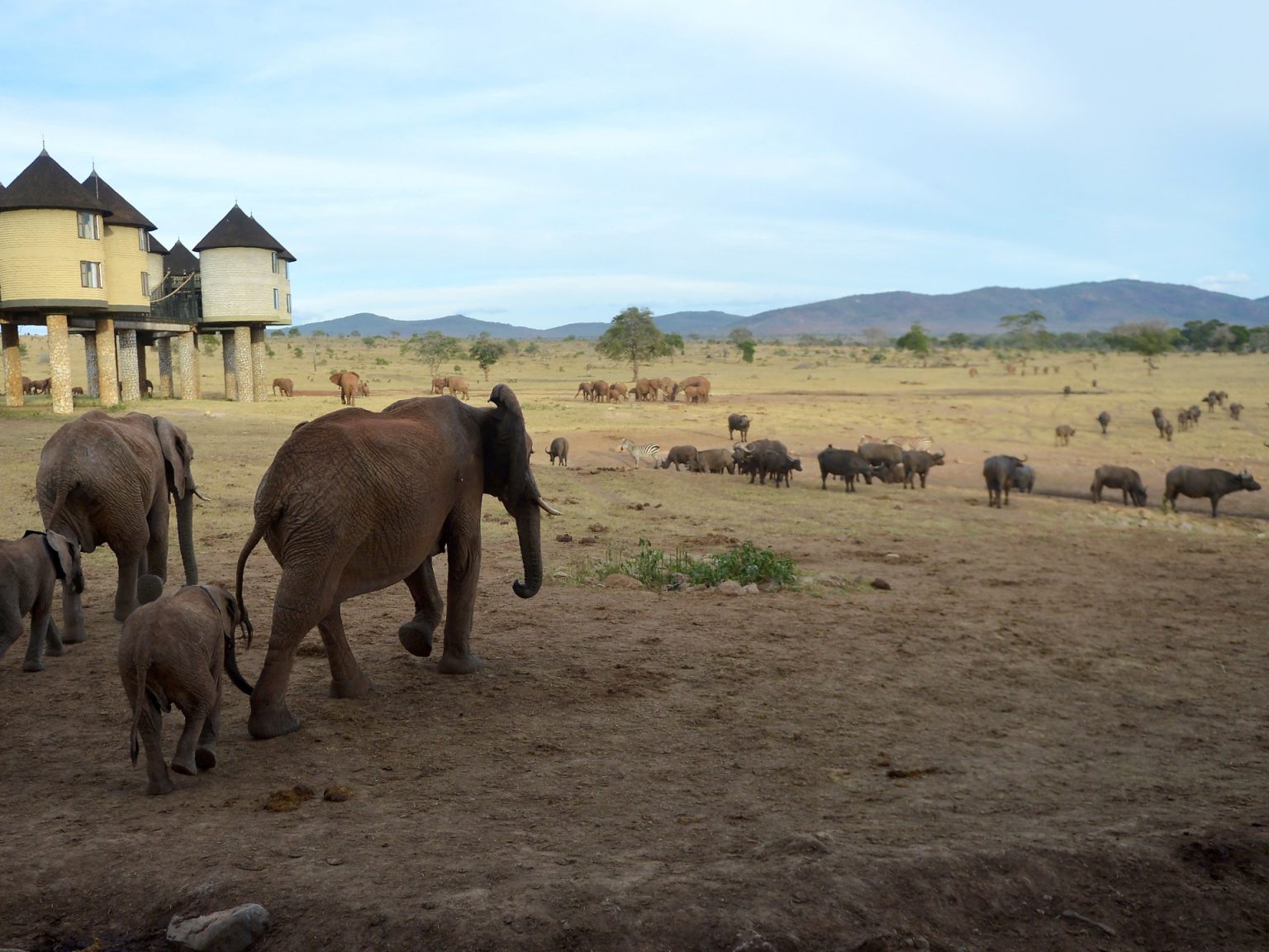 AFP 20170217 LS4FS v1 HighRes KenyaTanzaniaEnvironmentWildlife 1718025914