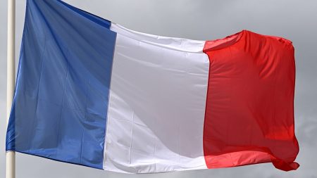 FRENCH FLAG