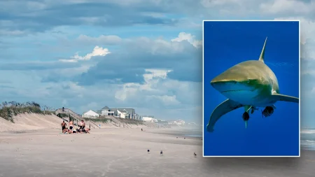 Shark attack North Topsail Beach