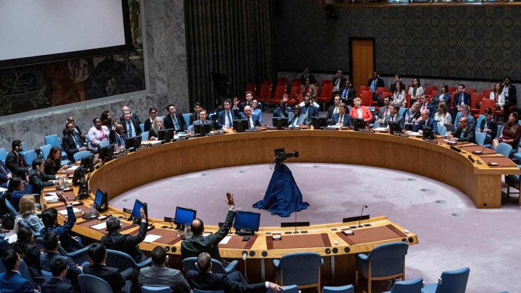 United Nations Security Council