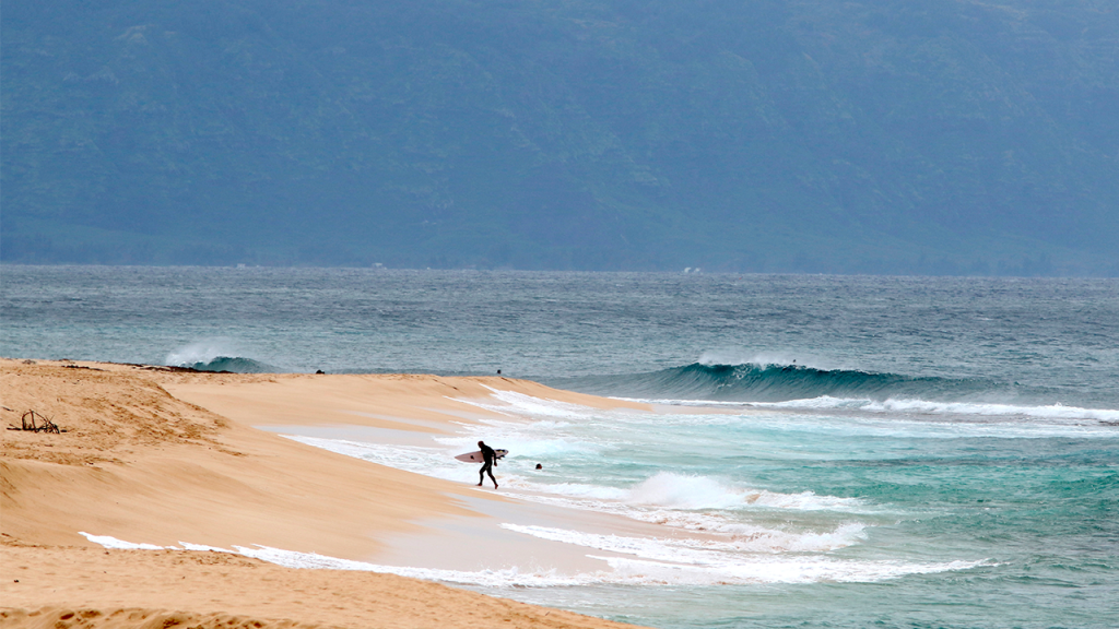 hawaiisurfer