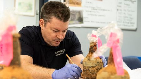 mount vernon bottle preservation