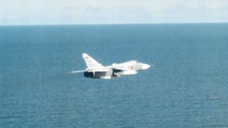 russian su 24 violates swedish airspace