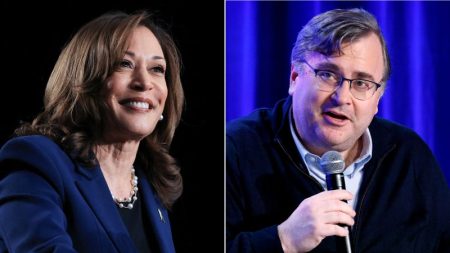 20240725 kamala harris reid hoffman split