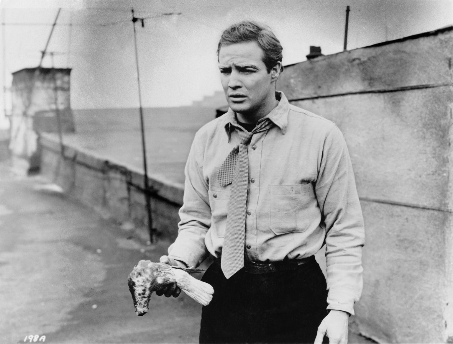 Marlon Brando 3