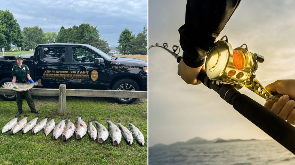 NH angler arrested