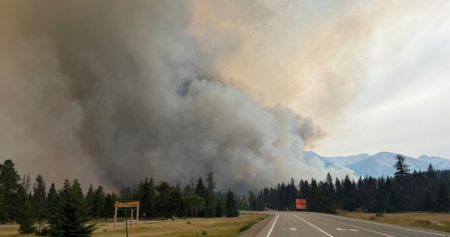 jasper wildfire 2