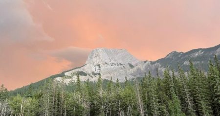 jasper wildfire july24