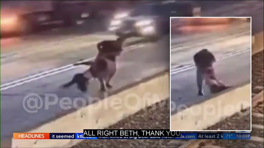 Footage from chilling video showing man drag woman off LA Metro train and toss into LA traffic