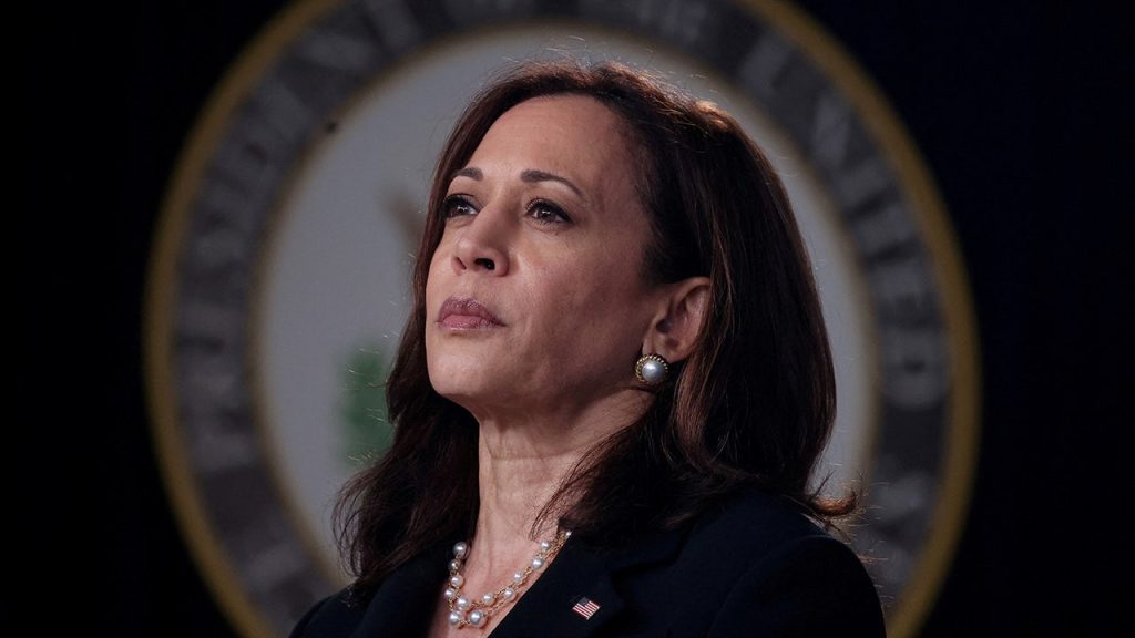 Joe Biden Kamala Harris 2024 Election 09