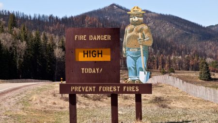 Smokey Bear Wildfire Meter New Mexico