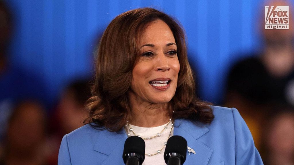 Vice President Kamala Harris price fixing03