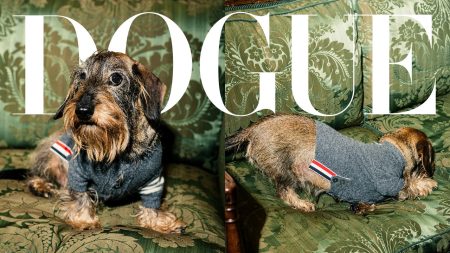 dogue hector v120copy