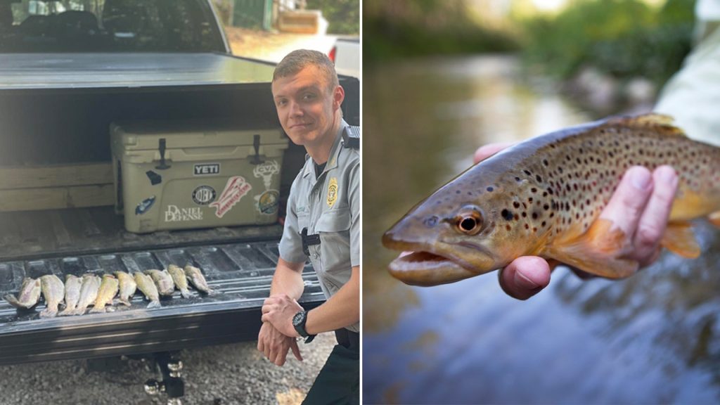 georgia fisherman charged after catching trout