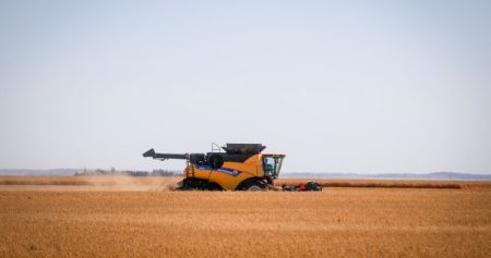 grain growing saskatchewan